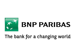 BNP Paribas India Logo
